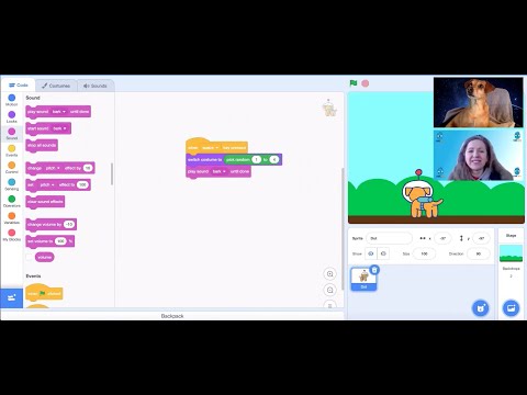 Sammy learns to code!