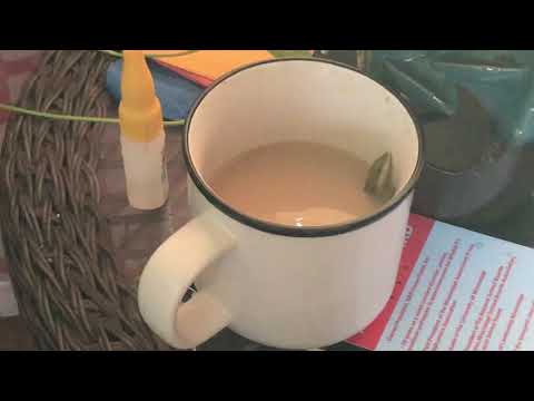 Lizard in a cup.