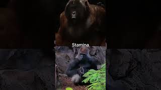 Gigantopithecus vs Gorilla #shorts