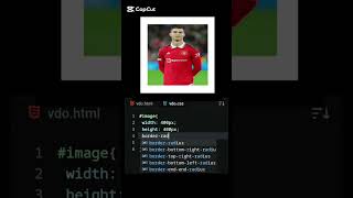circle image make with css #csscoding #css3course #csscode #css3