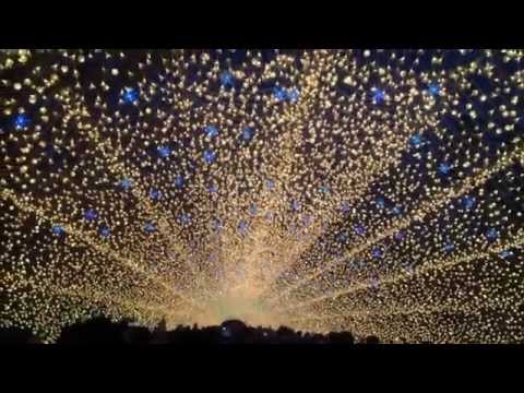 【感動】なばなの里光のトンネル点灯瞬間　2014‐ 15
