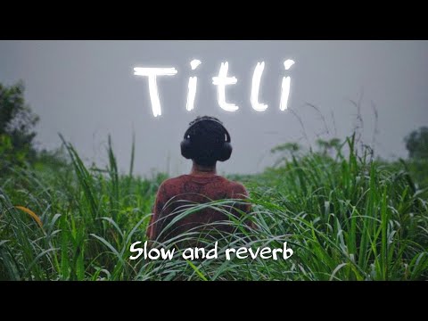 Bann Ke Titli Dil Uda - Lofi Mix | Relaxing Aesthetic Music #love