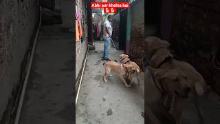 abhi aur khelna hai🐕🐕#shorts #doglovers #shortvideo #youtubeshorts #puppyvideos ##geetakumari