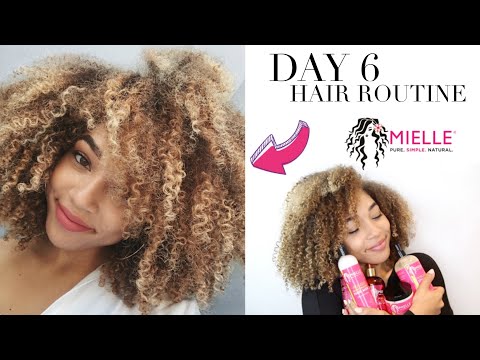 DAY 6 HAIR?! | Wash & Go ft. Mielle Organics