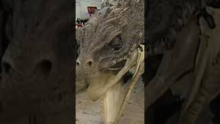Harry Potter scenes that actually used practical effects #shorts