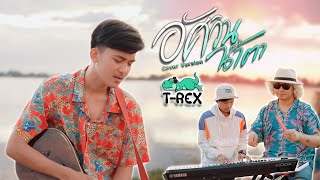 อัศวินน้ำตา - น้ำแข็ง ทิพวรรณ「 T-REX Cover 」