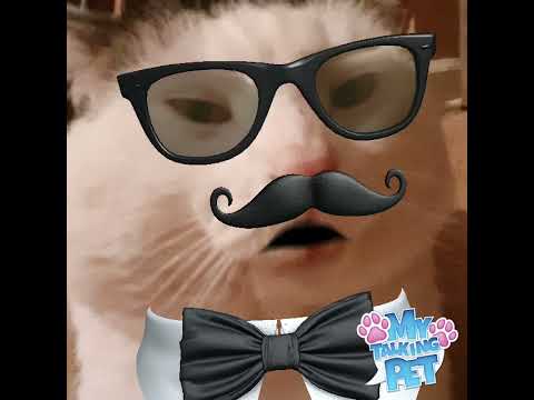 my name is foxy