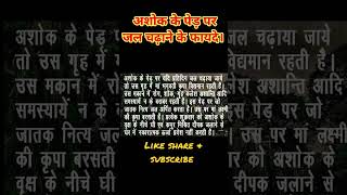 Ashok ke ped par jal chadhane ke fayde| #ashokkaped #ashok #ashokkepedkefayde #thefacttales