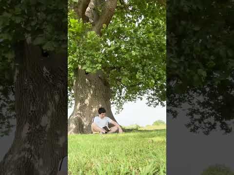 Reading Under Tree #hotdudesreading #hotguysreading #reading #booktok #tiktok #tiktokviral