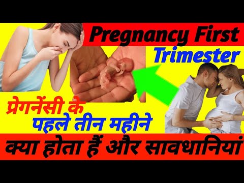 1st Trimester Of Pregnancy in Hindi || प्रेगनेंसी के पहले तीन महीने क्या होता हैं और सावधानियां ||