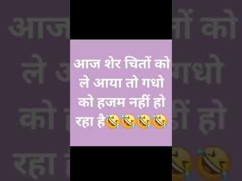 #tiger #modiji #tigerisback #lion #king