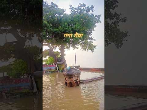 Har Har gange #gangamaiyya #barari #bhagalpur