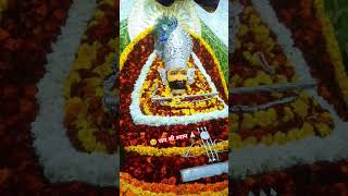 कई देवता इस दुनिया में हैं | सब के रूप सुहाने हैं | खाटू में जो सजकर बैठे हैं हम बस उनके दीवाने हैं.