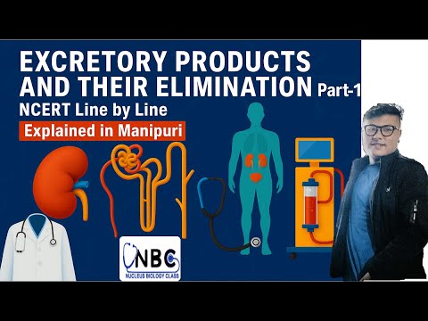 Excretory Products and their Elimination || Part-1|| Online NEET UG Foundation Course #ncert #neet