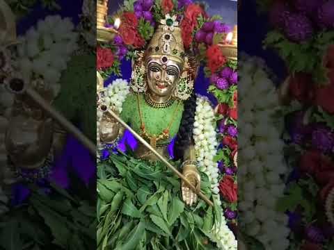 om sakthi amman songs #amman #devotional#ammandevotionalsongs #mutharamman #mariamma #mariammansongs