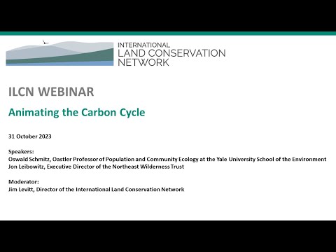 ILCN Webinar: Animating the Carbon Cycle
