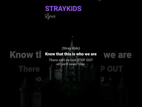 STRAYKIDS Straykids #lyrics #skz #songlyrics #straykids #felixshorts #hyunjin #skzedit #lyrics
