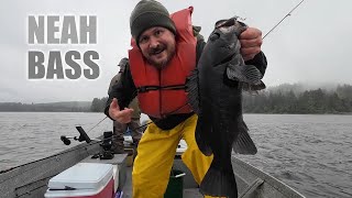 Neah Bay Summer Rockfish
