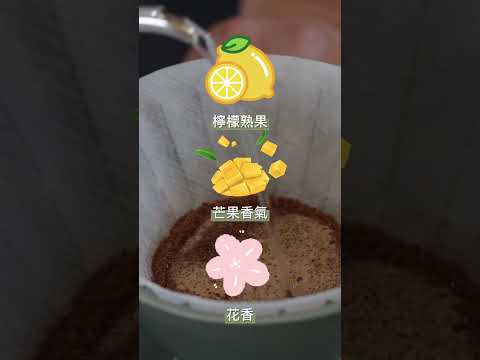 寶貝藝伎與常見的藝伎品種差在哪？