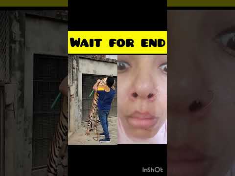 Reaction video