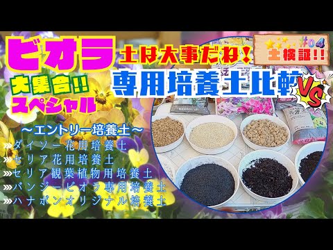 土は大事だね！【ガーデニング】ビオラスペシャル大集合NO.04専用培養土比較・VS対決!!【園芸】皆さんの目で確かめて下さい。