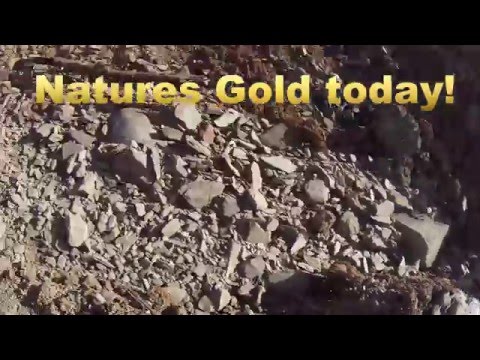 Small life on the mine
