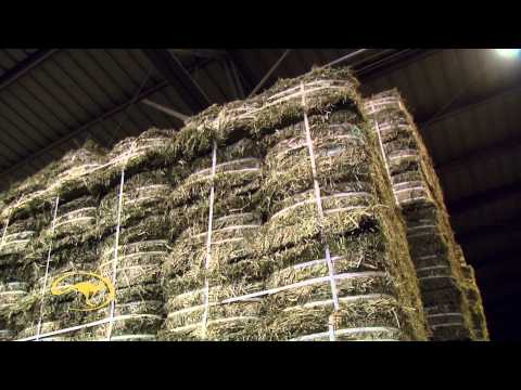 Clinton Anderson Visits Standlee Hay Company