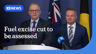 Anthony Albanese says no decision made on extending fuel excise cut | ABC NEWS