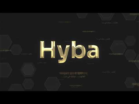 Beyond the design: Unraveling the Narrative and Symbolism within the HYBA Developers Logo!