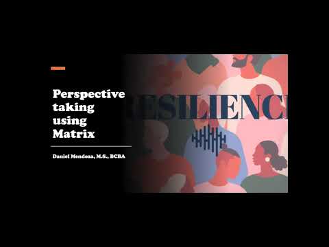 Using Matrix to take Perspective