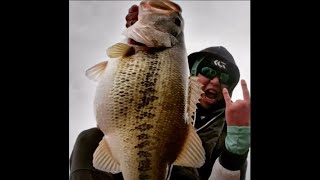 FishTips Digital Guide Community Call: December 2024