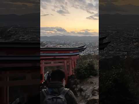 My grand escape. #japan #anime #fyp