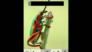Glitch Lab Tutorial 10 - Target Color Change