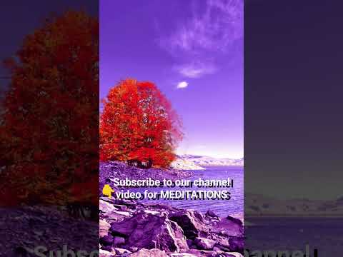 Relaxation, meditation, beautiful video and nice relaxing music 💖
