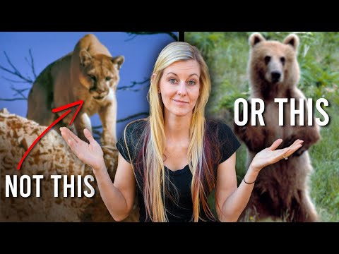 The Most Dangerous Animals You’ll Encounter Backpacking That No One Talks About