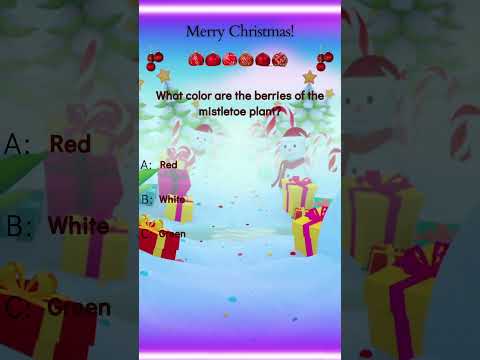 Christmas Riddle 16