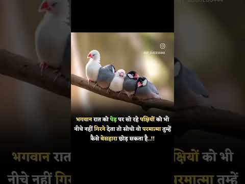 Best motivational Status Video King Video motivational #motivationalthought #short #motivationalking