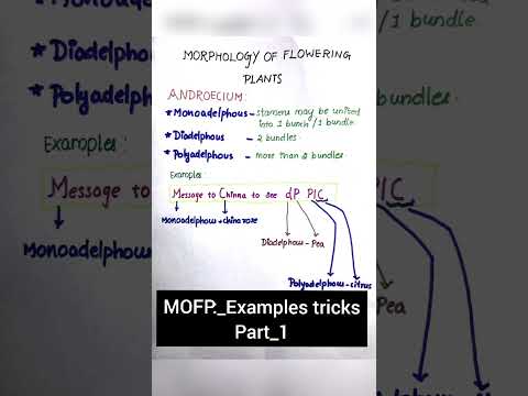 Morphology of flowering plants  examples tricks.Part_1#neet #neet2022 #mkneet