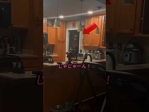 君のために特別に用意したんだ