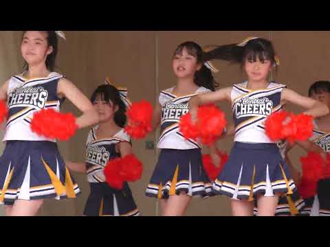 チアダンス博多どんたく2023年Cheer Dance