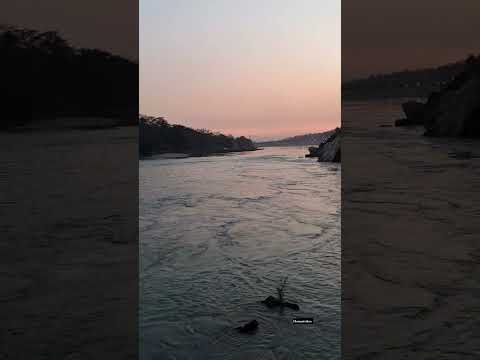 Evening Vibes❤️ #rishikesh #rishikeshtrip #rishikeshganga #views_viral_video_subscribers_grow