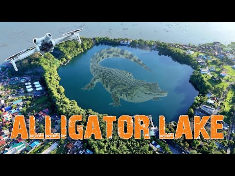 TADLAC LAKE 😲 ALLIGATOR LAKE. PUGAD NG MGA BUWAYA? LOSBAN̈OS LAGUNA.
