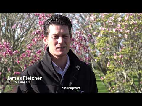 What is the value of Green Asset Management?