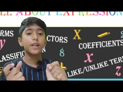 Algebraic equation Part 1 @dhruvrathee 