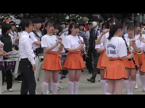 京都橘高校吹奏楽部2023博多どんたく落とし物に反応？Kyoto Tachibana Hakata