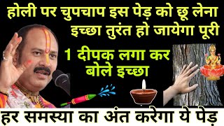 8 मार्च होली चुपचाप इस पेड़ को छूकर इच्छा बोल देना हो जाएगी पूरी जरूर करे उपाय - Pradeep ji mishra