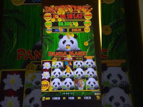 PANDA PANDA PANDA #pandamagic #dragonlink #slotbonus #lasvegas