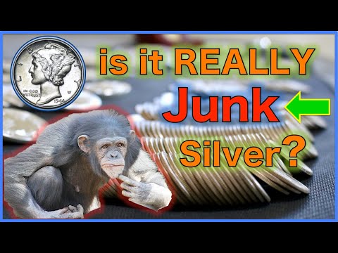 Is it REALLY Junk Silver? -- USA Constitutional Silver [UP CLOSE]