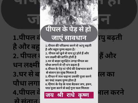 पीपल के पेड़ से हो जाएं सावधान #यूट्यूबशॉर्ट्स #ट्रेंडिंग 👍👌🙏🏻 #वायरल_वीडियो_शॉर्ट_2025