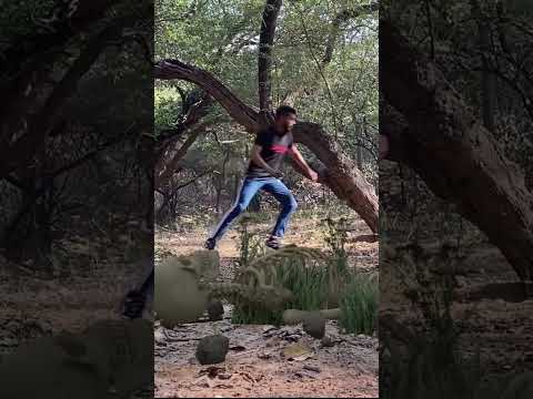 Big Anaconda chase #shorts #shortvideo #snakes #snakevideo